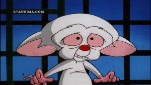 كرتون بينكي وبرين مدبلج