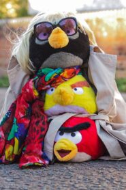 Angry Birds on The Run: Season 2